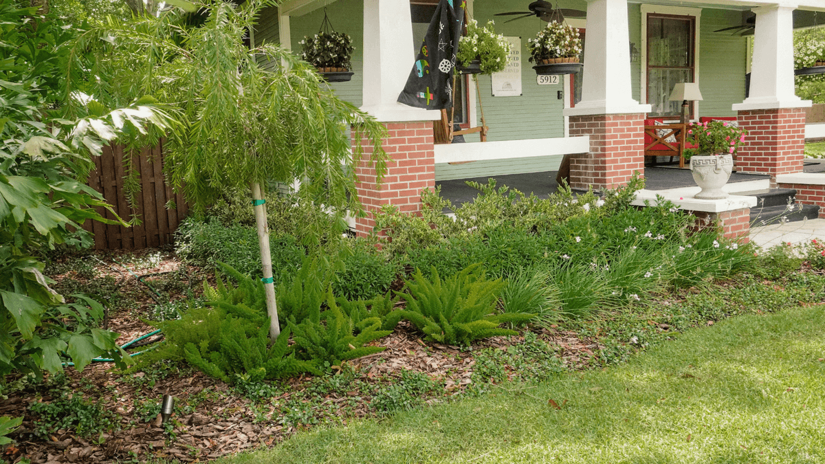 Historic Seminole Heights — finished landscape by Everything Outdoors
