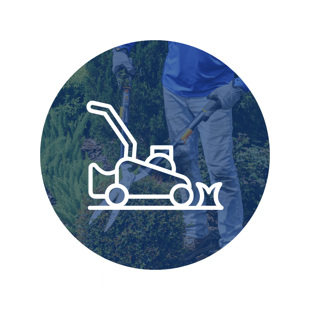 Professional landscape maintenance service in the Tampa Bay Area