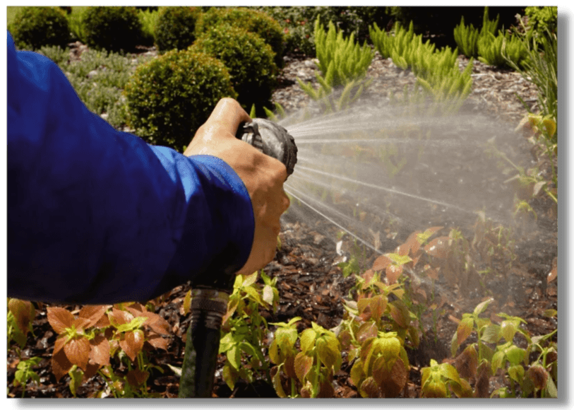Pressure washing service in Tampa