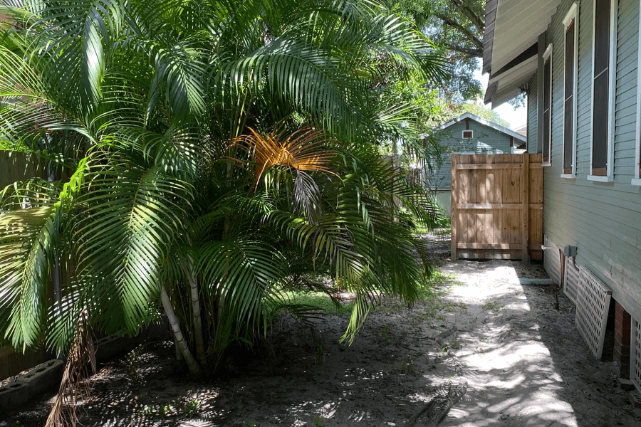 Historic Seminole Heights after the transformation by Everything Outdoors