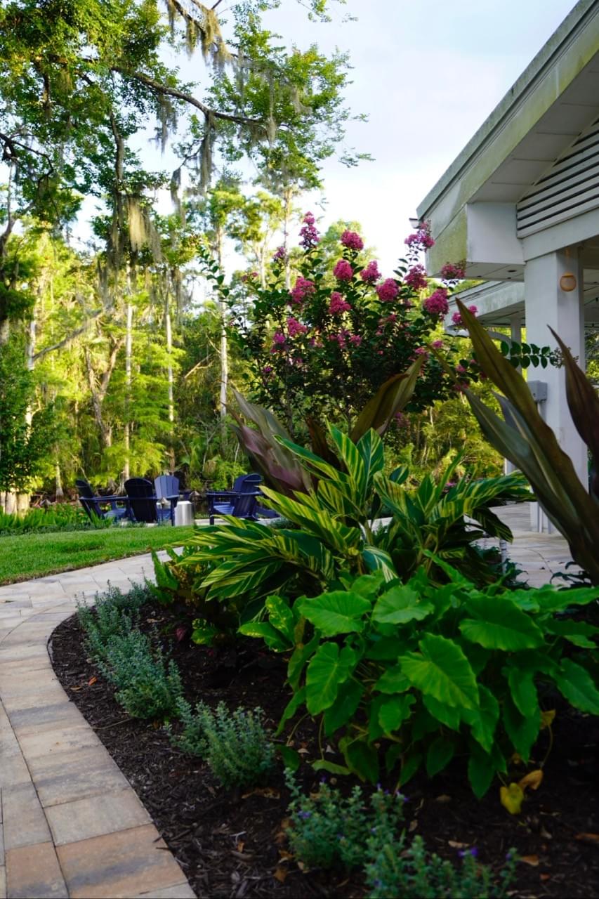 Temple Terrace Riverside Retreat — finished landscape by Everything Outdoors