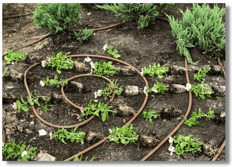 Landscape installation process in Tampa by Everything Outdoors