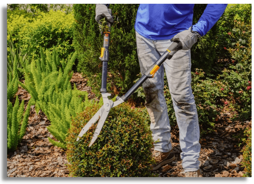 Property maintenance in Tampa