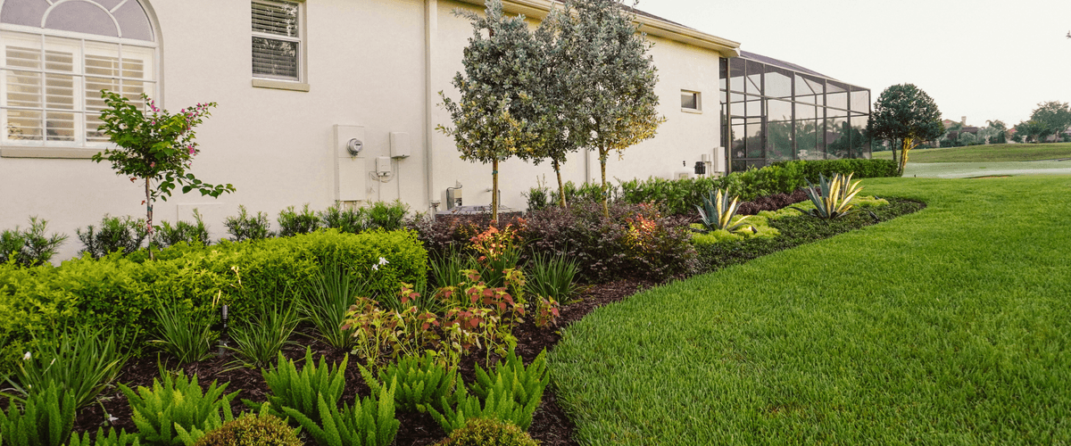 Tampa Bay landscape project by EO