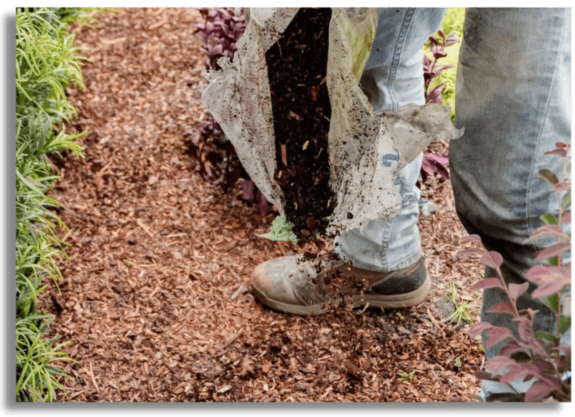 Mulching service in Tampa