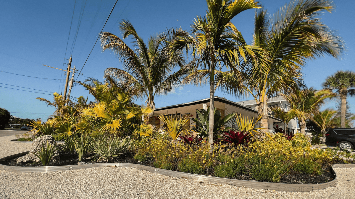 Landscape design project, Tampa Bay