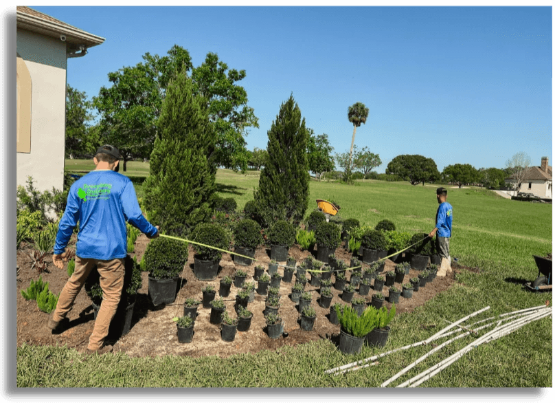 Tampa landscaping division, tree and sod installation
