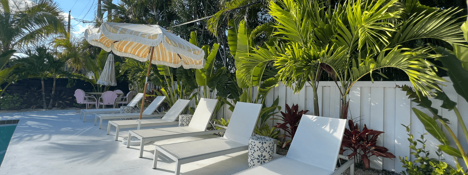 Everything Outdoors on Instagram, Florida plantings