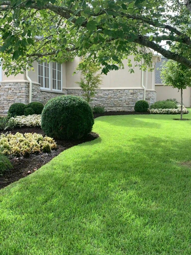 365-Day Landscaping in Tampa: How to Create a Yard That…