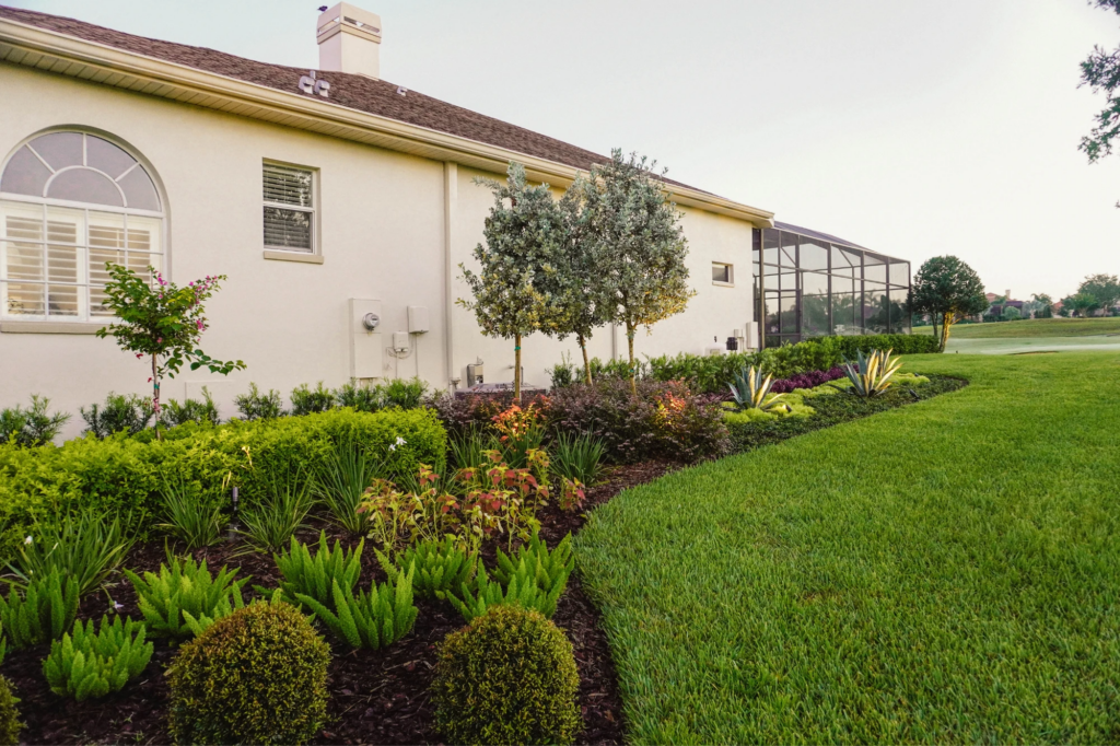 Creating a Low-Maintenance Garden in Tampa
