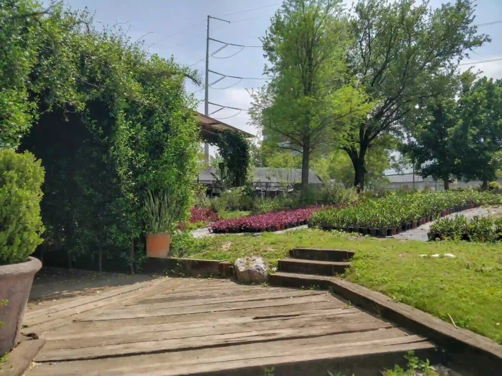 Custom Landscape Installation Tampa 2026: Redefining th…