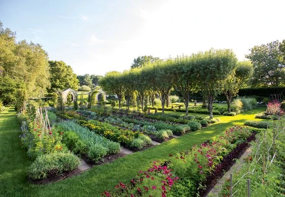 Gardening Goal Ideas for the New Year