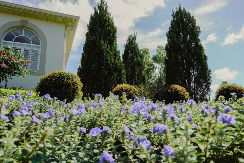 Hardscaping Ideas for Your Outdoor Space