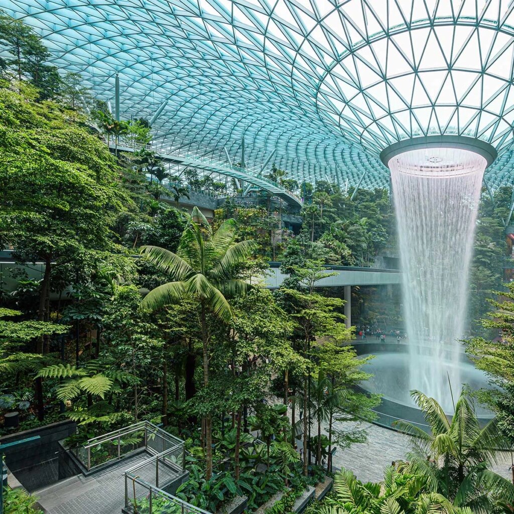 Harnessing the Healing Power of Nature: Biophilic Desig…