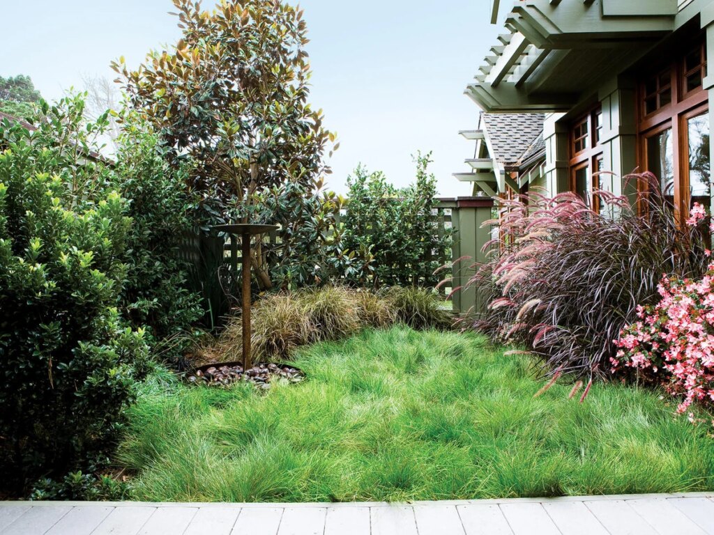 How to Get a No Mow Lawn in Tampa – Lawn Maintenance Ma…