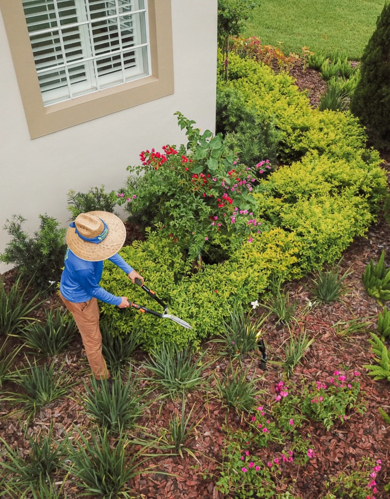 How to Prepare Your Tampa Landscape for Hurricane Seaso…