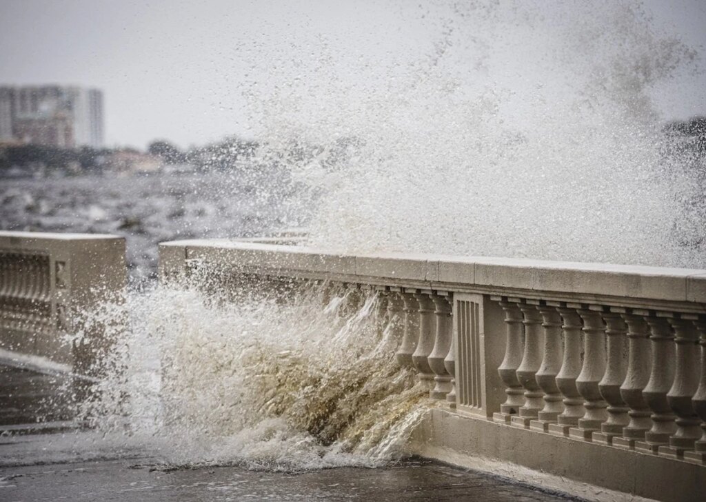 Hurricane Clean-Up: Why It’s Crucial for Your Landscape…