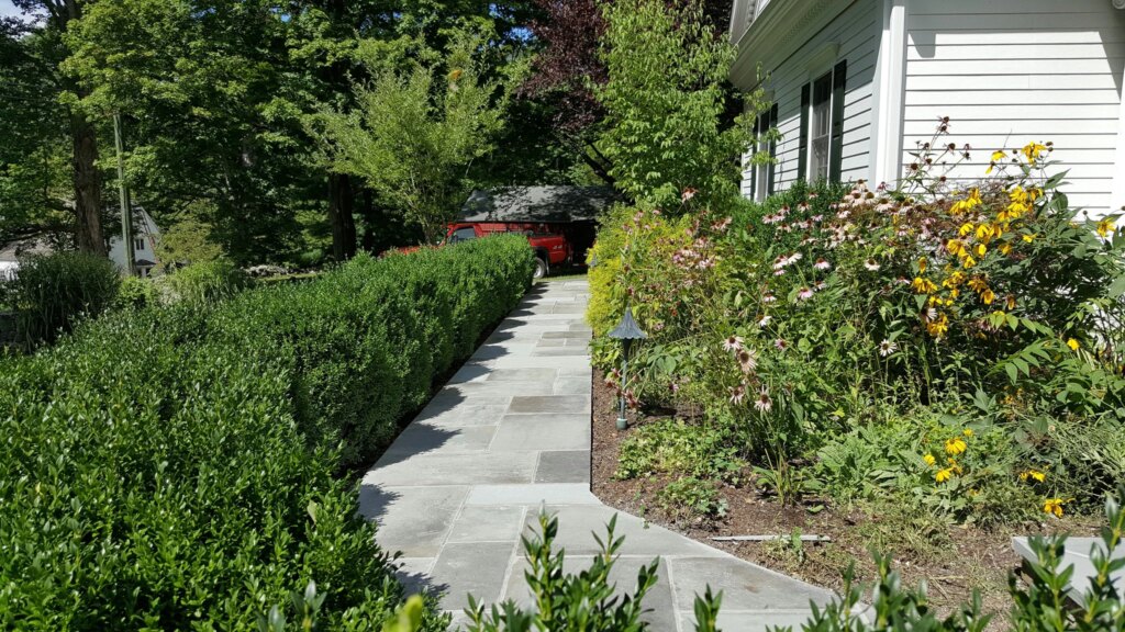 Professional Landscape Contractors Tampa 2026: Elite Tr…