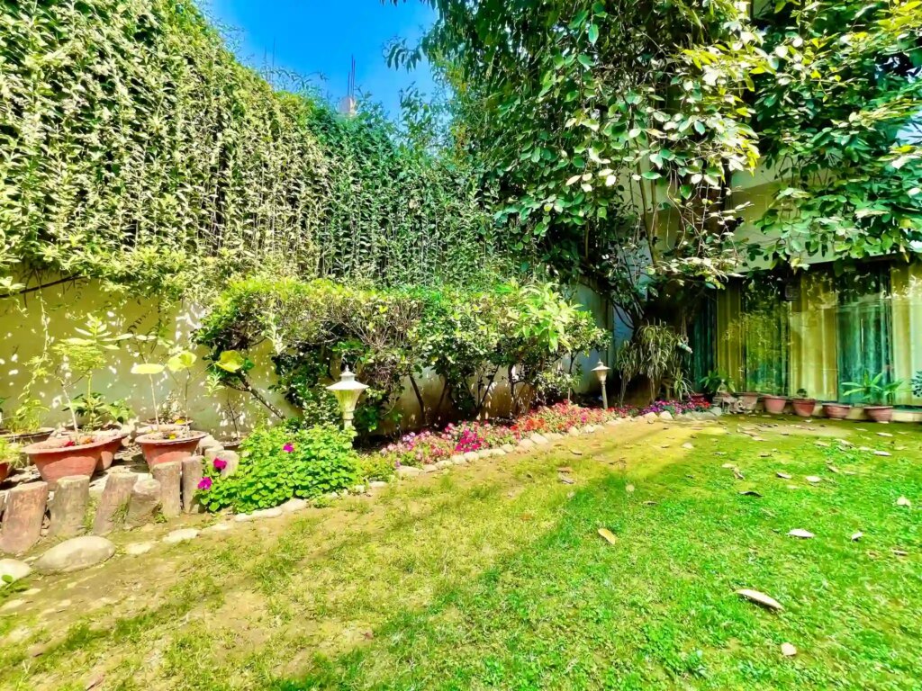 Small Backyard Landscaping Ideas for 2026: How to Creat…