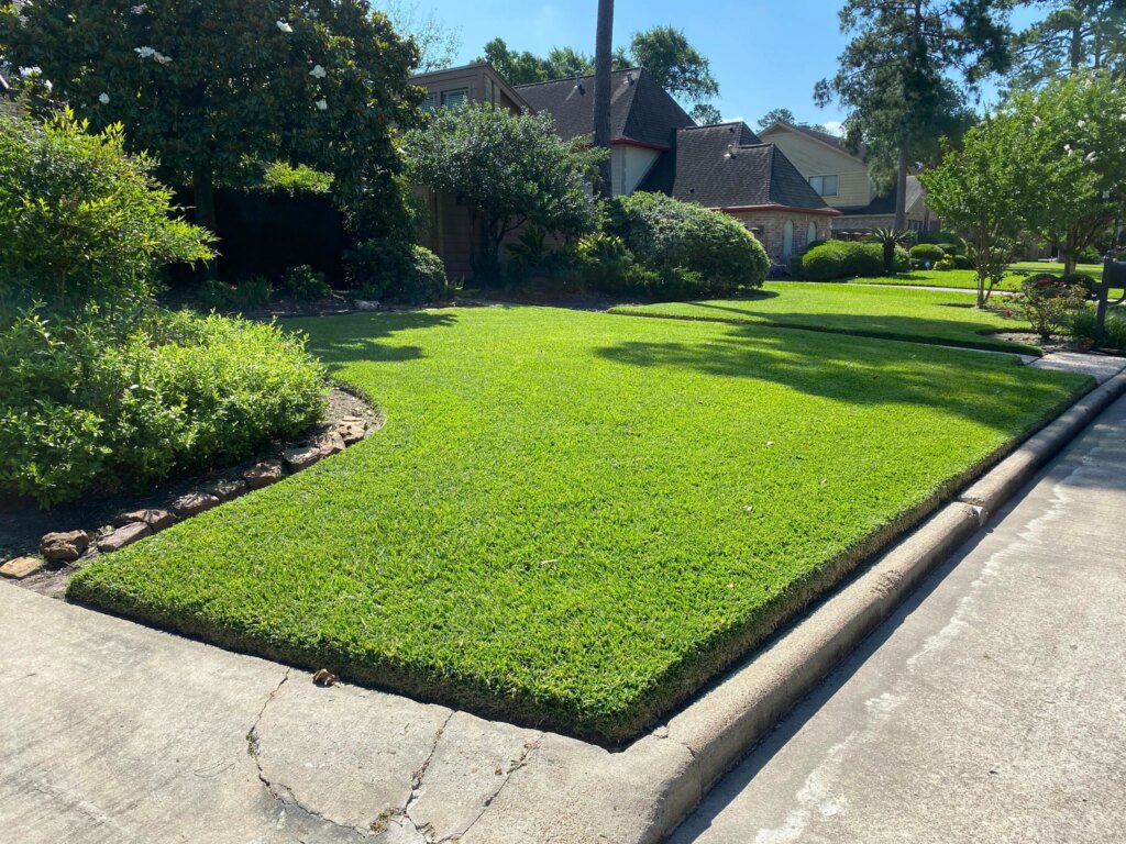 The Importance of Post-Hurricane Clean-Up for Your Tamp…