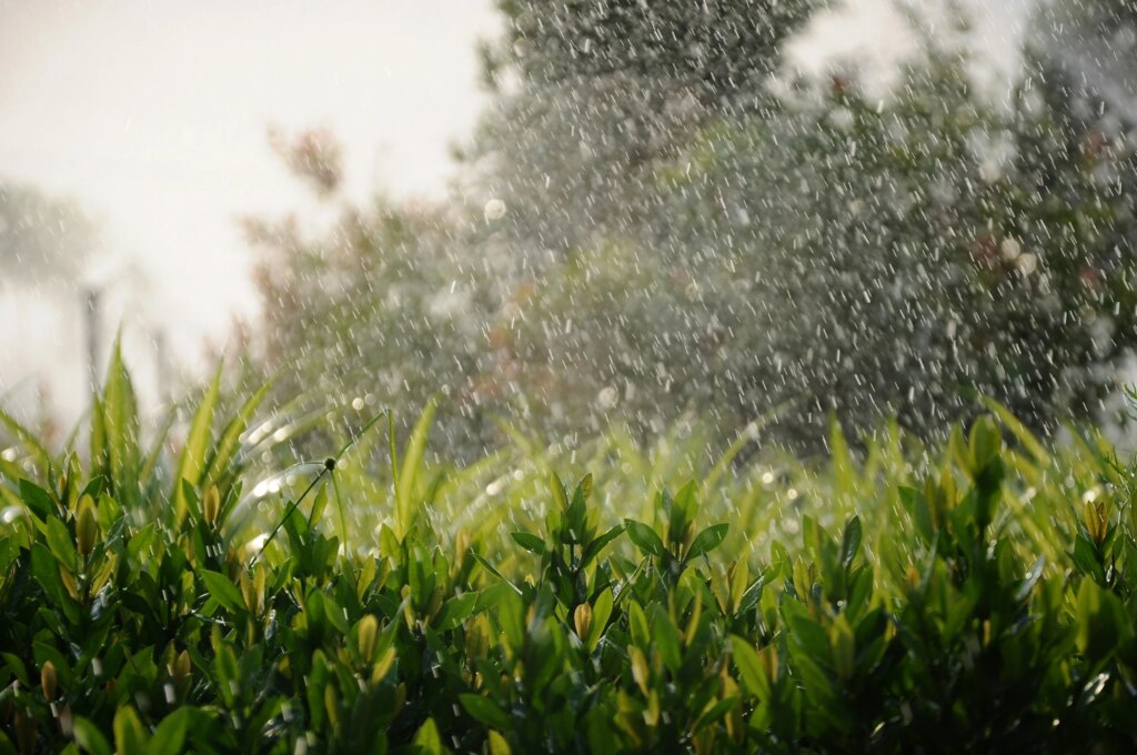 The Role of Smart Irrigation Systems in Water Conservat…