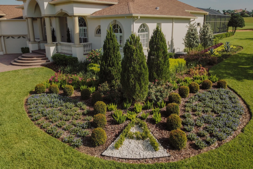 Transforming Your Tampa Oasis: The Power of Professiona…